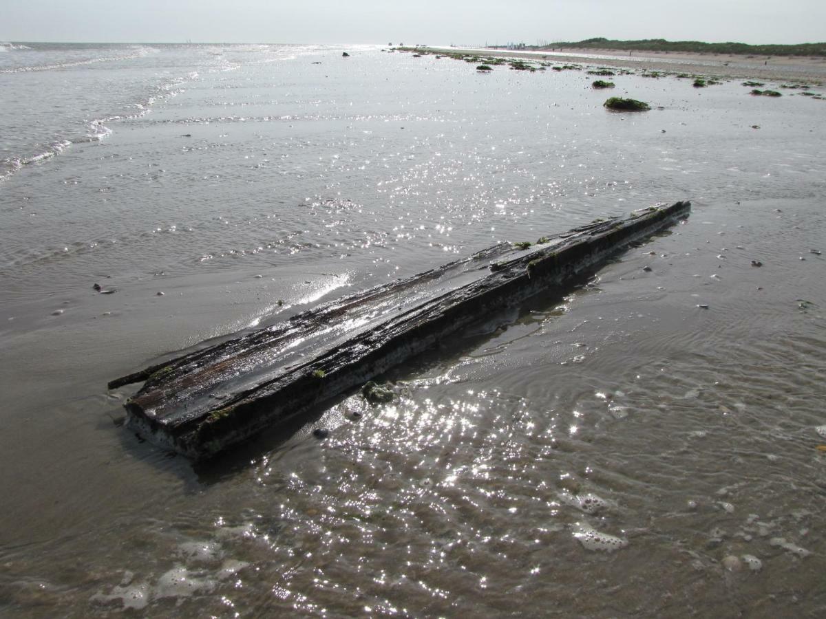 הוילה דה קוח Texelduinen59 מראה חיצוני תמונה